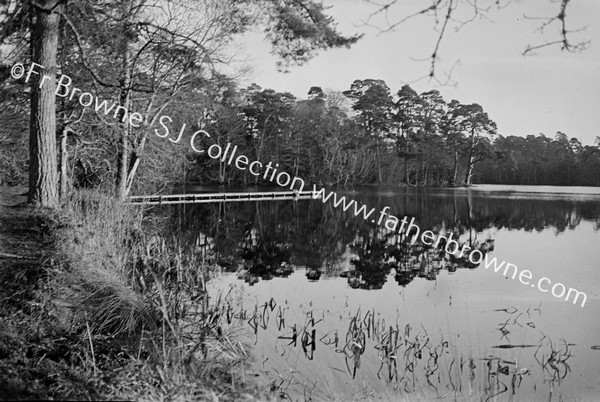 THE BATHING POOL